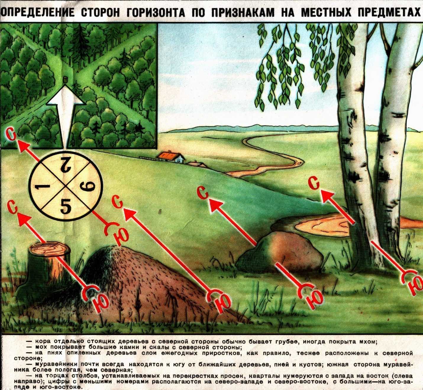 Военная топография ориентирование на местности презентация