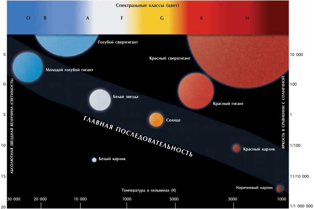 Эволюция звезды на диаграмме Герцшпрунга Рассела. Красные карлики на диаграмме Герцшпрунга Рассела. Белые карлики светимость. Красный гигант и белый карлик.