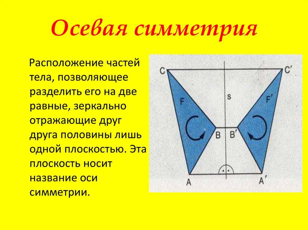 Проект по геометрии 9 класс симметрия