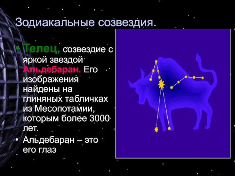 Проект созвездия 10 класс - 94 фото