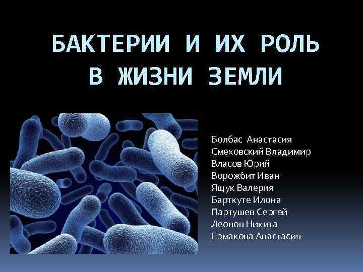 Презентация роль бактерий в природе и жизни бактерий