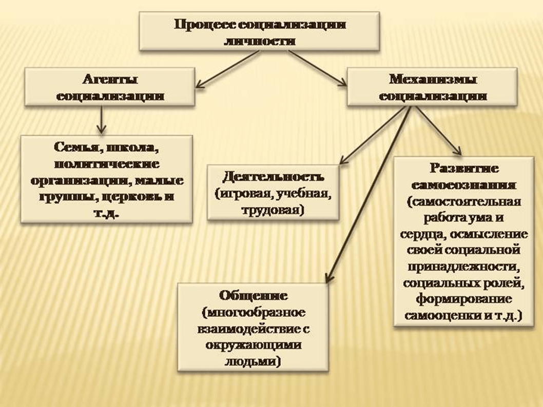 Процесс социализации схема