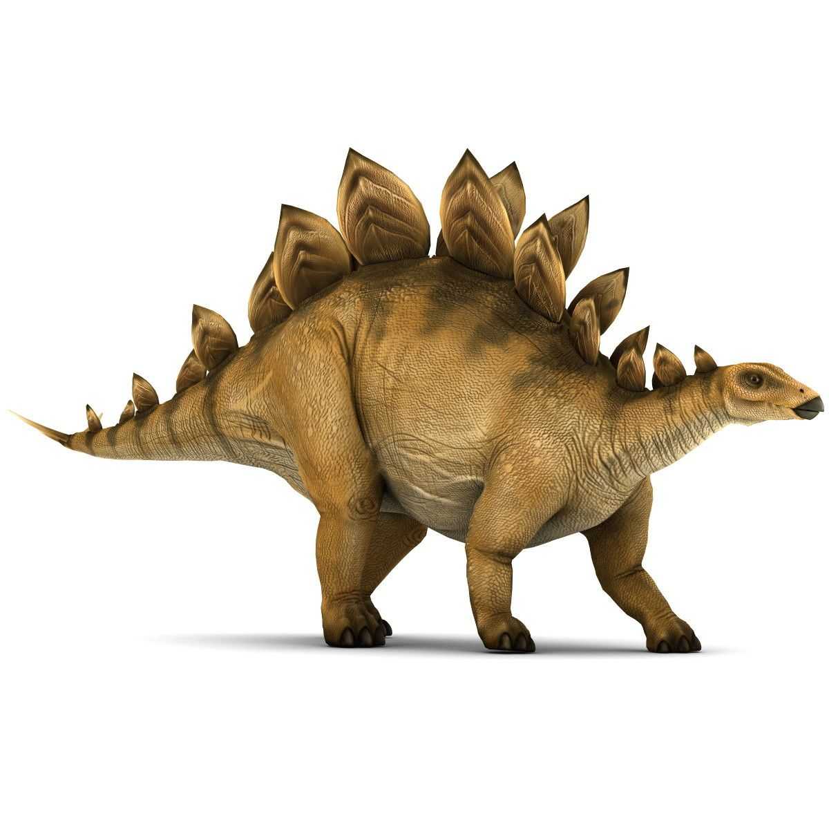 Стегозавр (лат. stegosaurus)