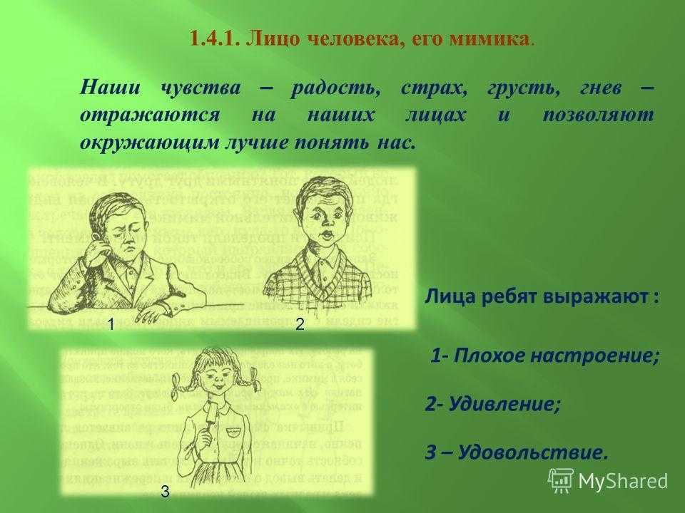 Эмоции не передать словами. Язык мимики и жестов презентация. Мимика и жесты человека. Жесты для презентации. Выражение лица мимика и жесты.