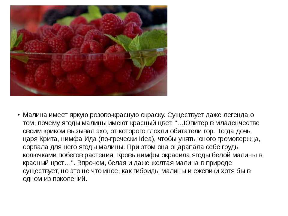 Ягода малина текст. Малина описание для детей. Малина рассказ описание. Описание ягоды малины. Презентация про малину.