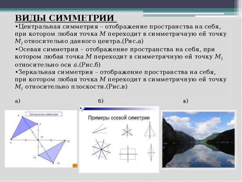 Виды симметрии с картинками