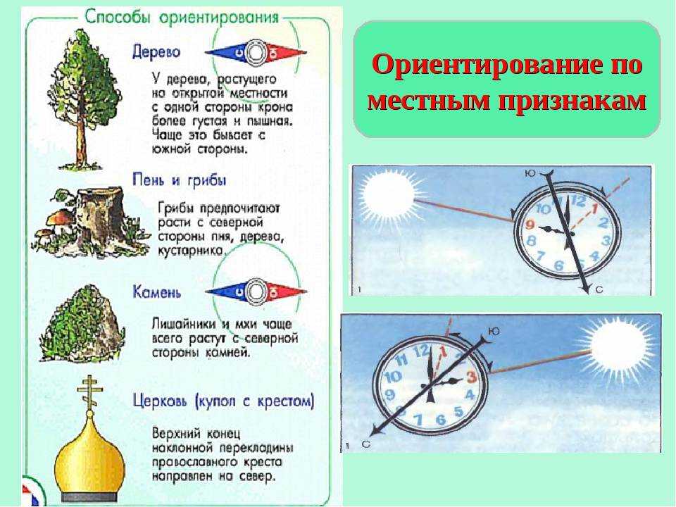 По каким признакам можно определить стороны горизонта рисунки