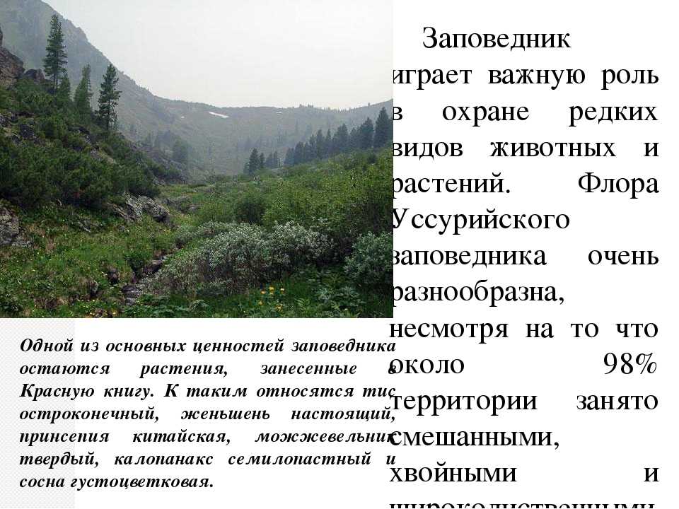 Топ 10 заповедных и природоохранных территорий россии – список, фото, карты и описание