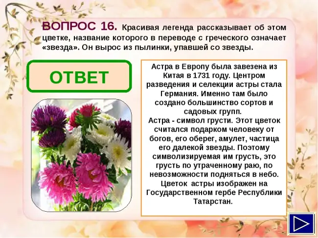 Осенние цветы: фото, названия, описание - handskill.ru