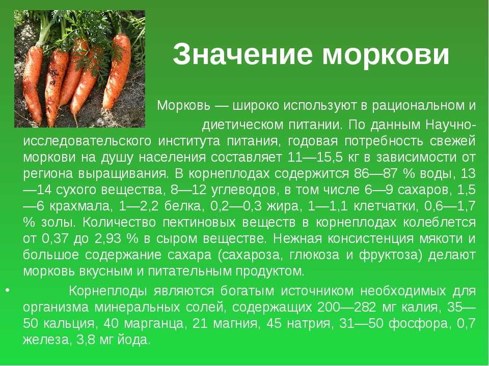 Морковь относится к группе. Морковь. Описание моркови. Морковь для презентации. Морковка для презентации.