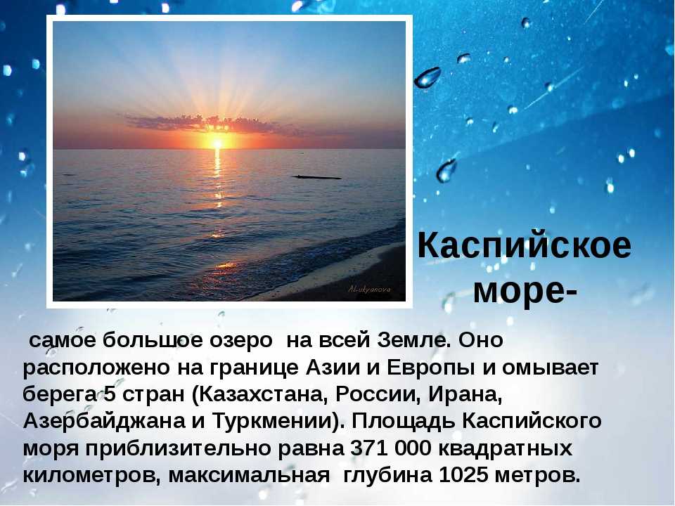 Море проект 2 класс