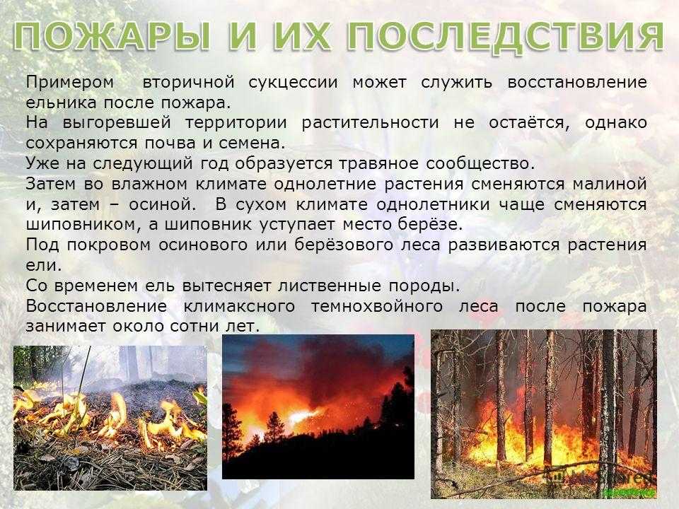 Виды пожаров. классификация пожаров. профилактика пожаров