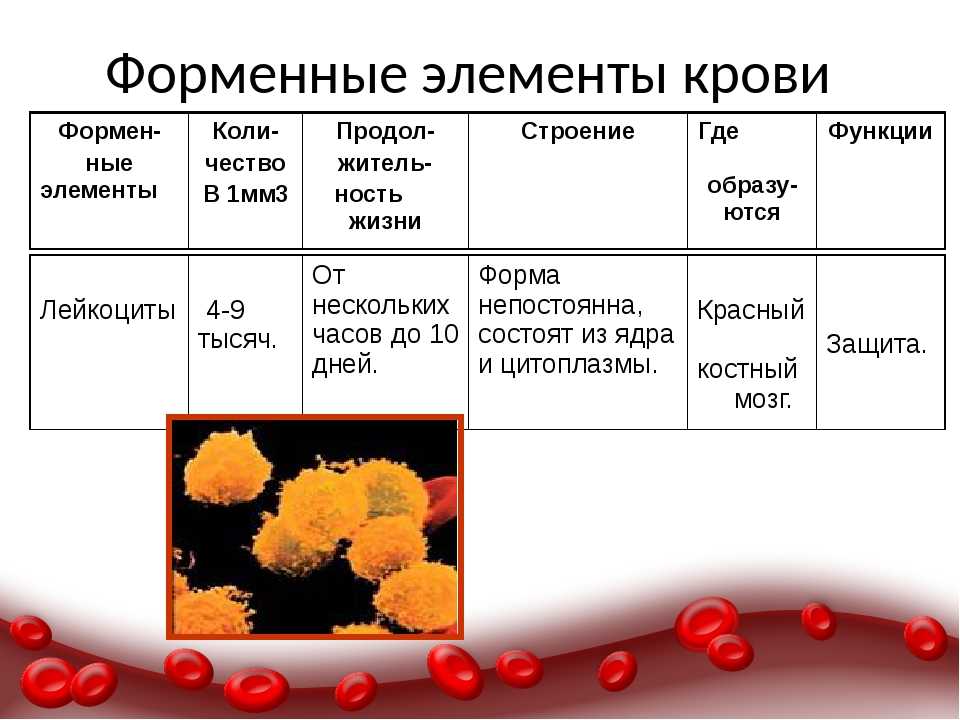 Кровь биология 11 класс. Схема строения форменных элементов крови. Состав и функции форменных элементов крови. Таблица состав крови биология 8 класс. Состав крови функции клеток крови.