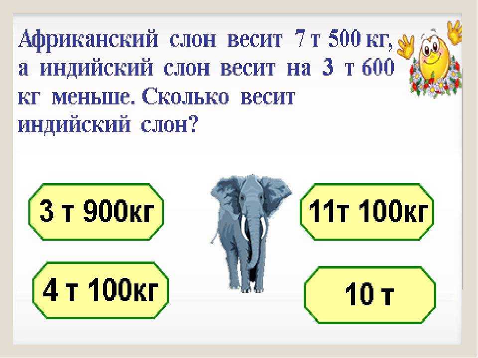 Слон сколько кг. Сколько весит слон. Сколько весит слон в тоннах. Вес африканского слона. Средний вес африканского слона.