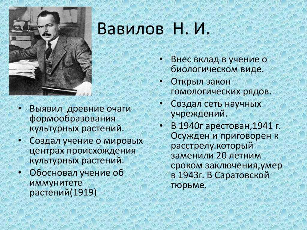 Генетические основы селекции вклад н и вавилова в развитие селекции презентация 11 класс