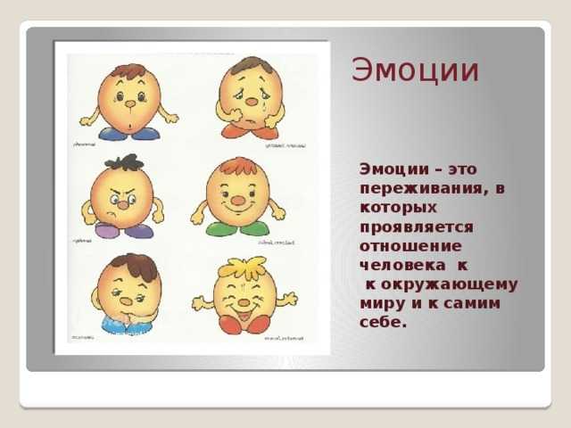 6 эмоций