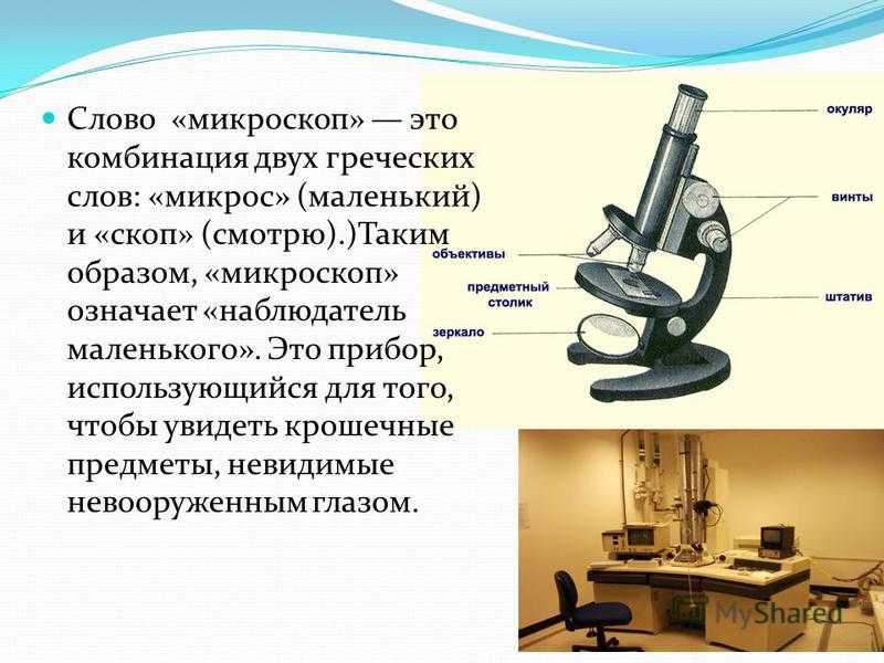 Микроскоп вид изображения физика