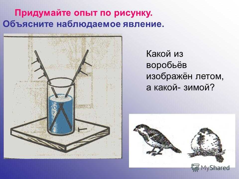 Объясните рисунок. Теплопередача опыт. Придумайте опыт по рисунку объясните наблюдаемое явление. Придумать опыт. Опыт в котором наблюдается явление теплопроводности.