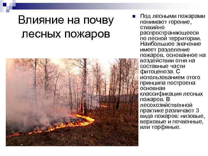 Действие лесов. Влияние пожаров на почву. Влияние лесных пожаров на почву. Влияние пожаров на лес. Влияние пожаров на леса.