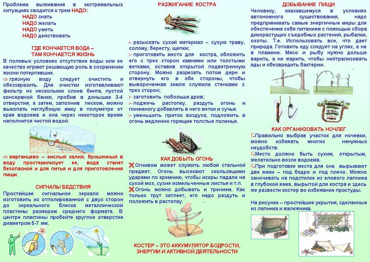 Способы выживания в природе проект