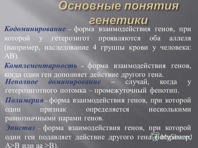 Генетик основной понятие. Основные понятия генетики. Основные понятие гинетии. Основные термины генетики. Понятия в генетике.