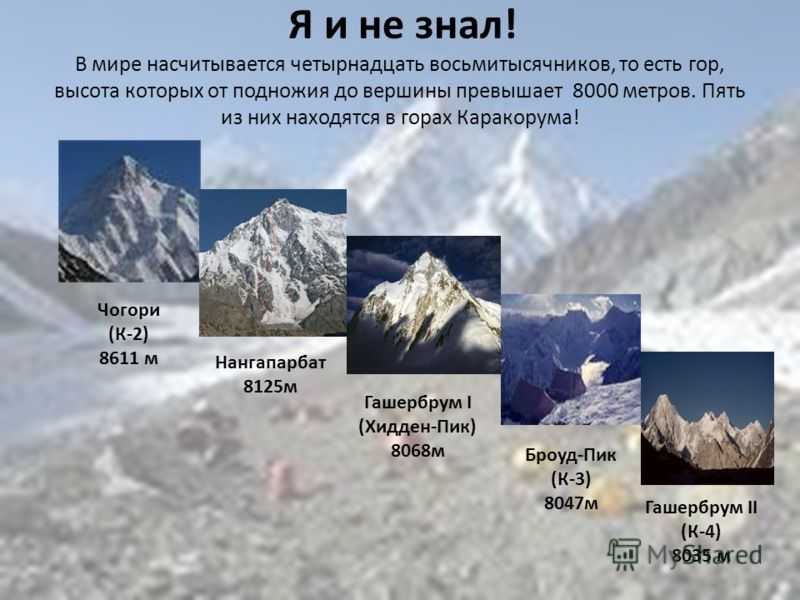 Что называют горными странами. 14 Вершин Восьмитысячников планеты. Вершины: Джомолунгма (Эверест), Эльбрус.. Самая высокая гора в мире Джомолунгма высота. Каракорум вершина Чогори.