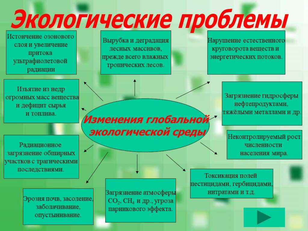 Проект на тему глобальные экологические проблемы