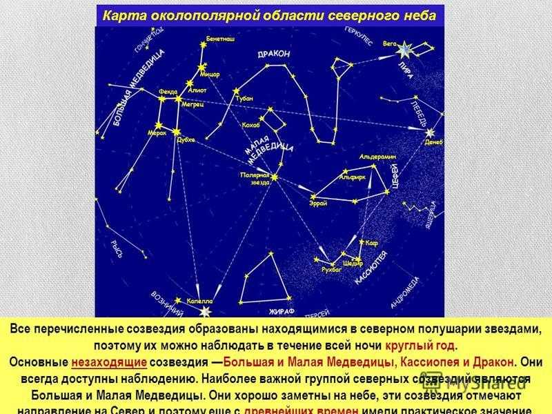 В каком созвездии малая звезда. Околополярные созвездия Северного полушария. Незаходящие созвездия. Незаходящие созвездия Северного полушария. Не захожящие созвездия Северного полушария.