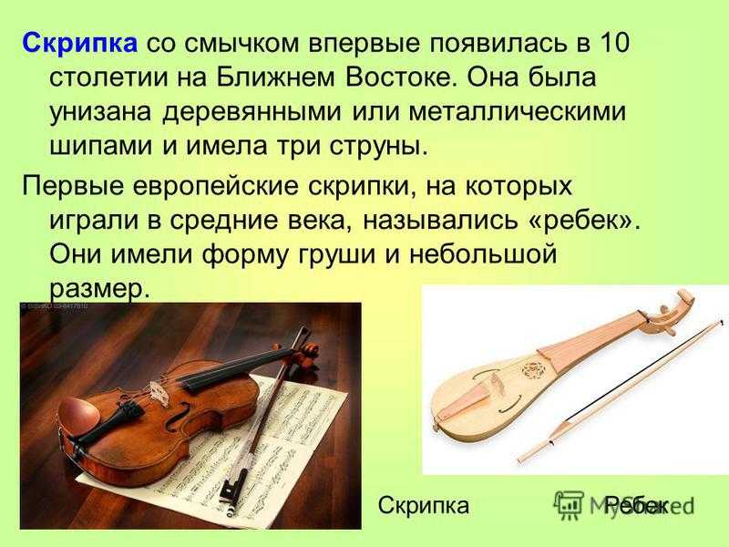 Проект на тему скрипка