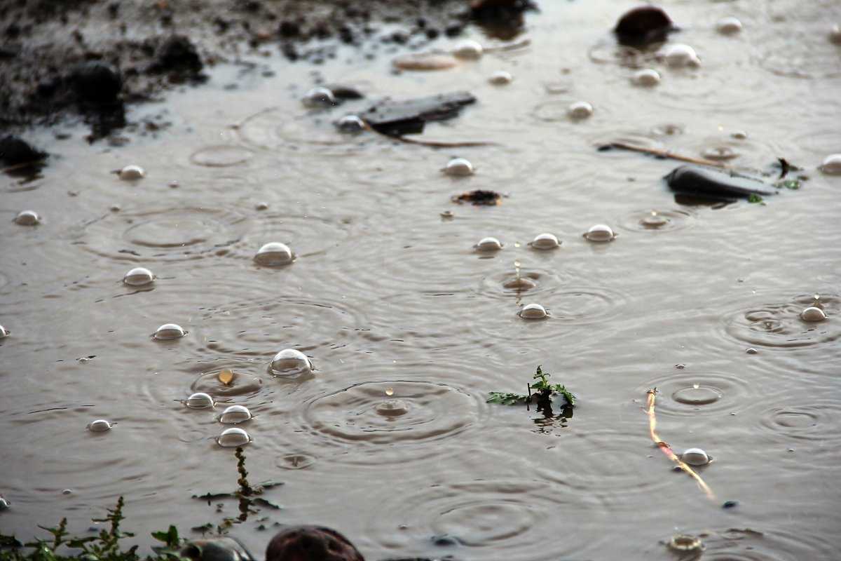 Дождь болотного. Дождь с пузырями на лужах. Пузыри на болоте. Лужа болото. Пузыри на лужах.