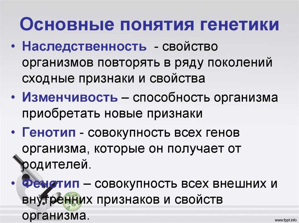 Основные понятия генетики презентация