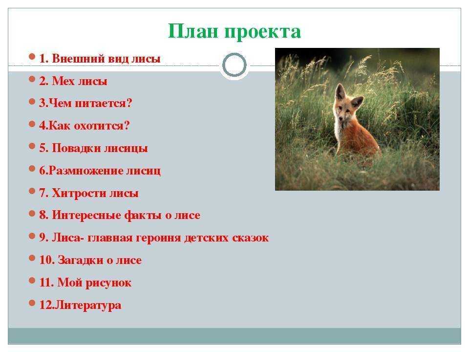 Рассказ о лисе 2 класс окружающий мир по плану