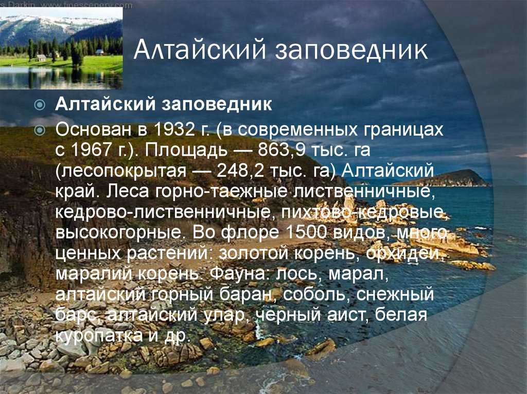 Проект про алтайский заповедник