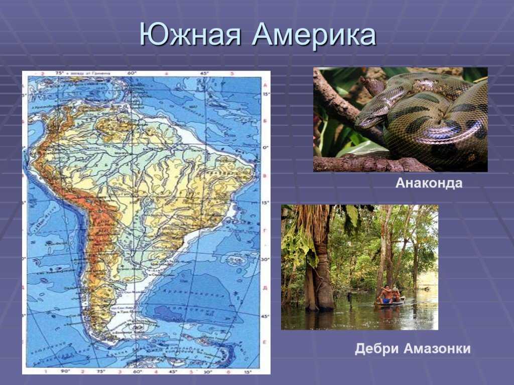 Анаконда материк. Место обитания анаконды на карте. Южная Америка Амазонка Анаконда. Ареал обитания анаконды.