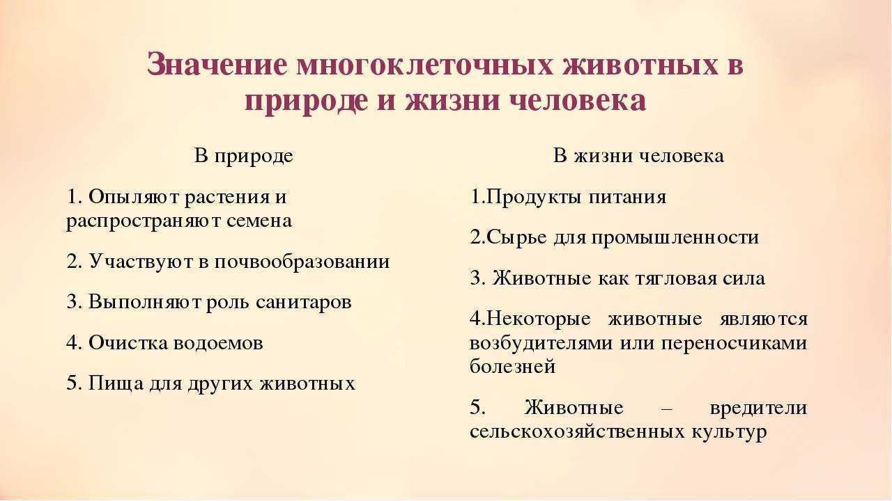 Значение животных в природе и жизни человека 7 класс биология презентация