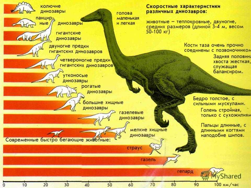 Периоды динозавров. Динозавры периоды существования. Динозавры таблица. Скорость динозавров. Периусы жизни динозавров.