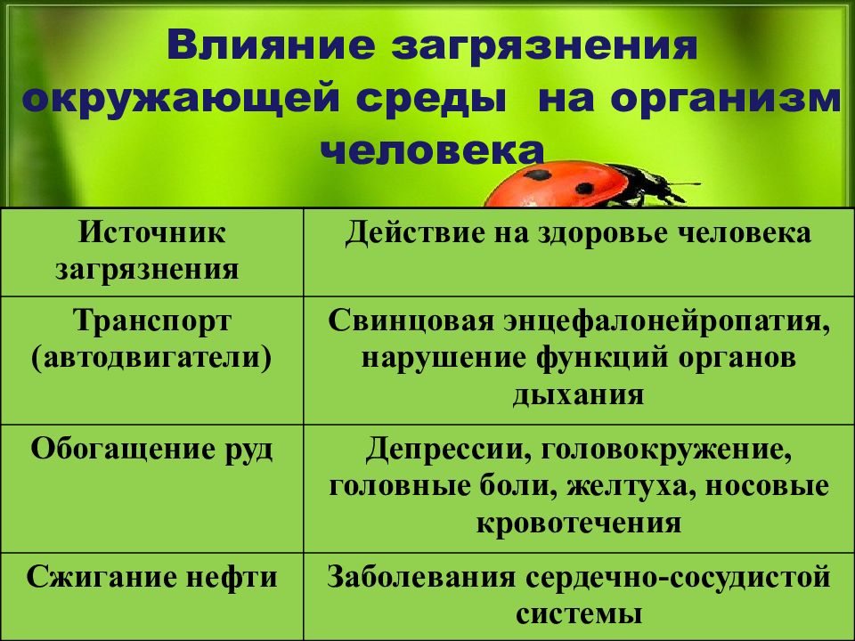 Экология обж 8 класс презентация