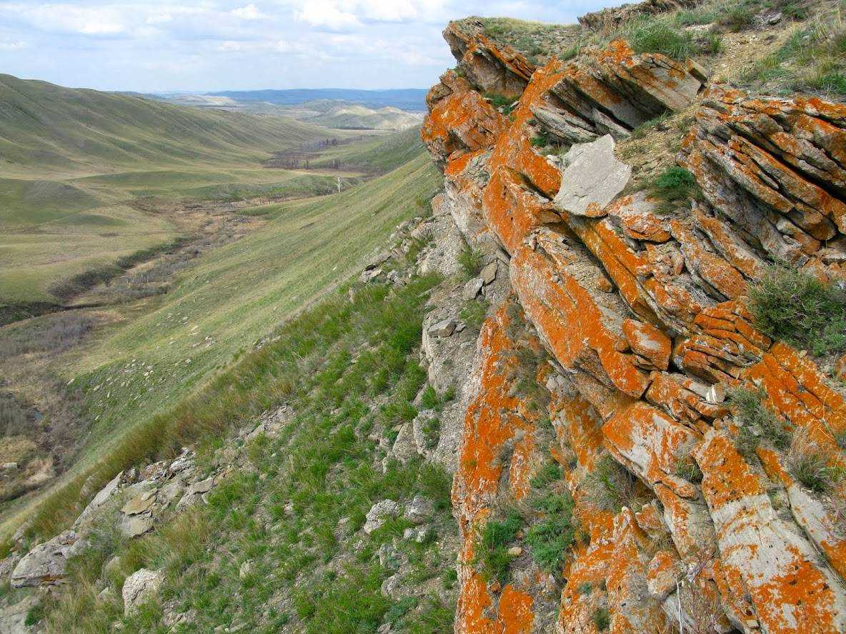 Заповедники степи оренбургский. Айтуарская степь. Красная гора Оренбургская область. Оренбургский заповедник. Оренбургский государственный Степной заповедник.