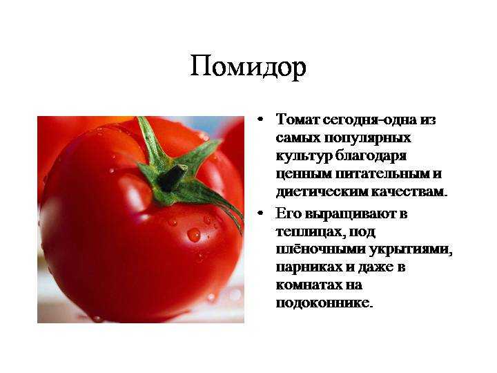 Comer tomate por la noche