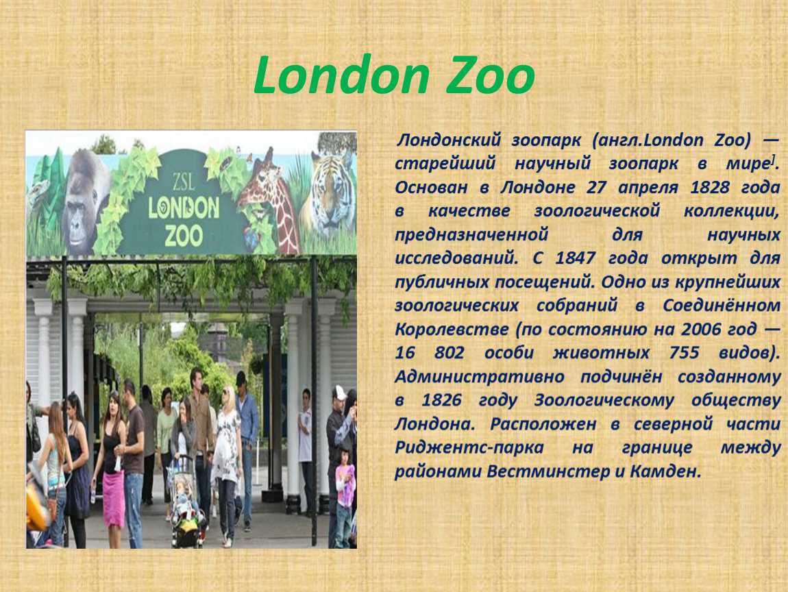 Текст про зоопарк 4 класс. Лондонский зоопарк проект. Лондонский зоопарк сообщение. Лондонский зоопарк доклад. Лондонский зоопарк презентация.