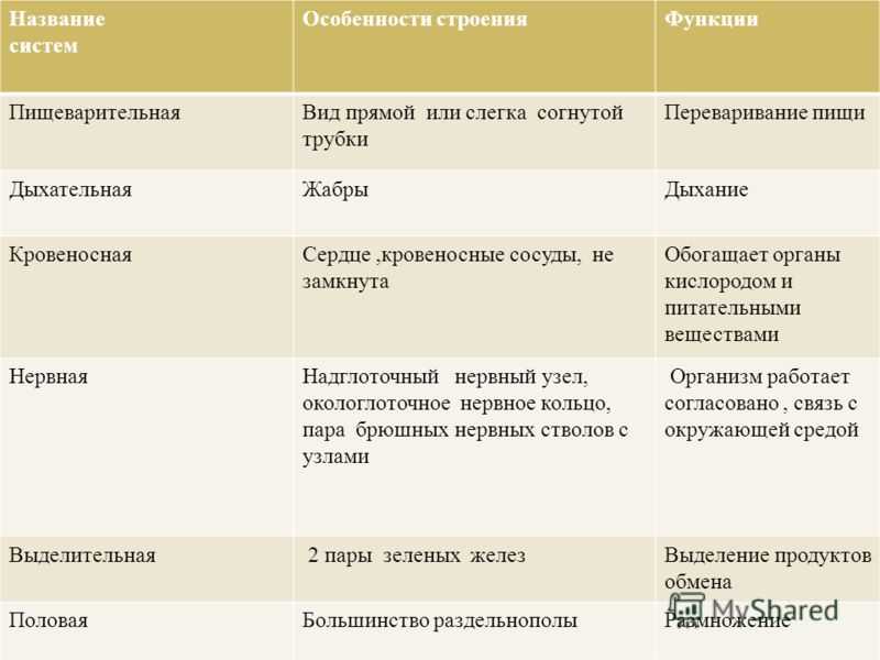 Таблица ракообразные. Система органов животных таблица особенности строения. Системы органов животных особенности строения функции таблица. Внутреннее строение ракообразных таблица. Системы органов таблица 7 класс.