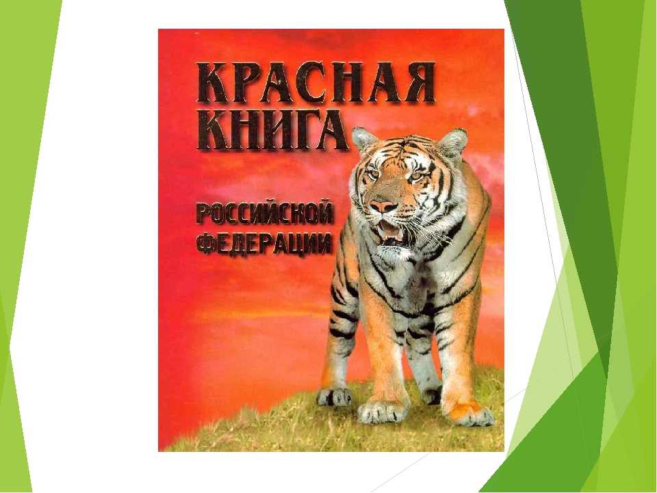 Красная книга окружающий мир 4 класс. Красная книга окружающий мир. Красная книга России 2 класс окружающий мир. Обложка для проекта по окружающему миру красная книга. Красная книга России окружающий мир.