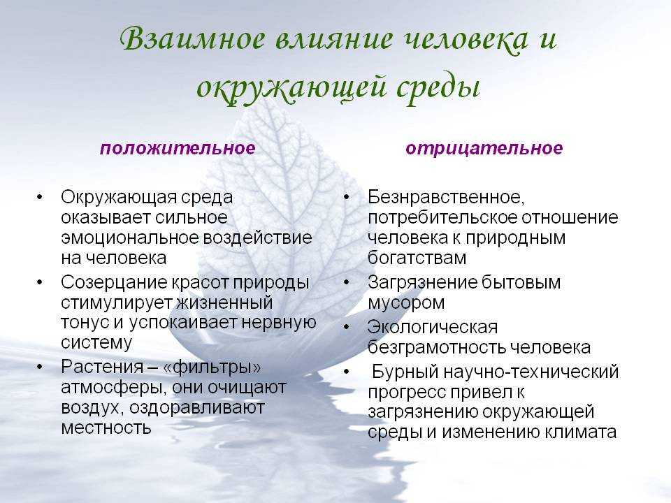 Воздействие человека на окружающую среду презентация по биологии