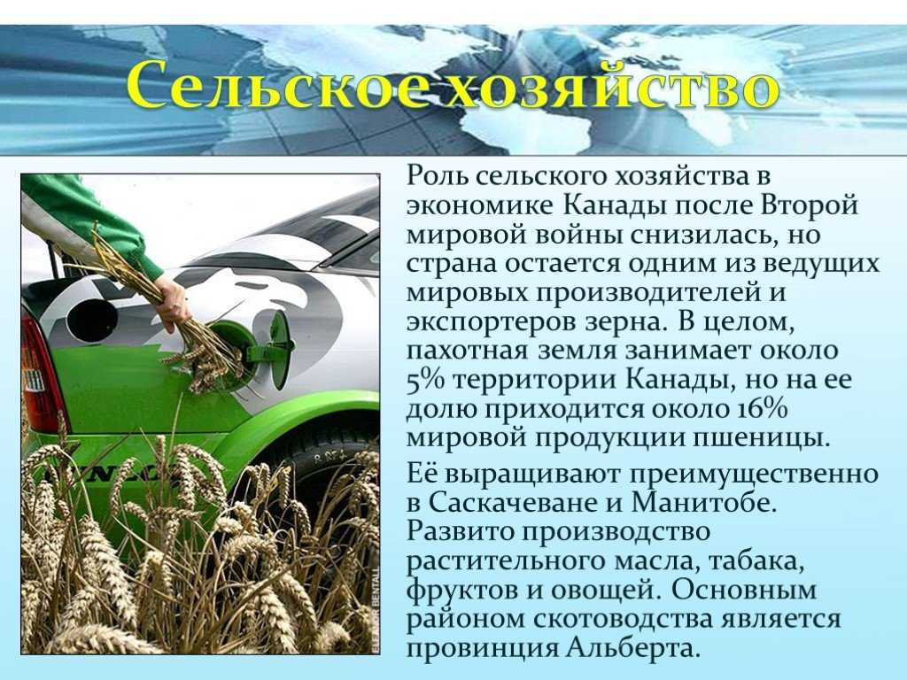 Канада географии 11 класс. Роль сельского хозяйства. Роль сельского хозяйства в экономике. Сельское хозяйство для презентации. Хозяйство Канады презентация.