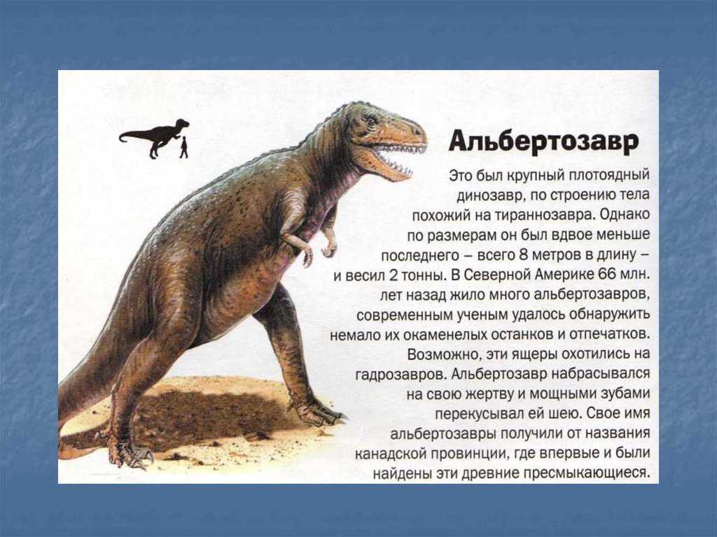 Интересный доклад о динозаврах для детей