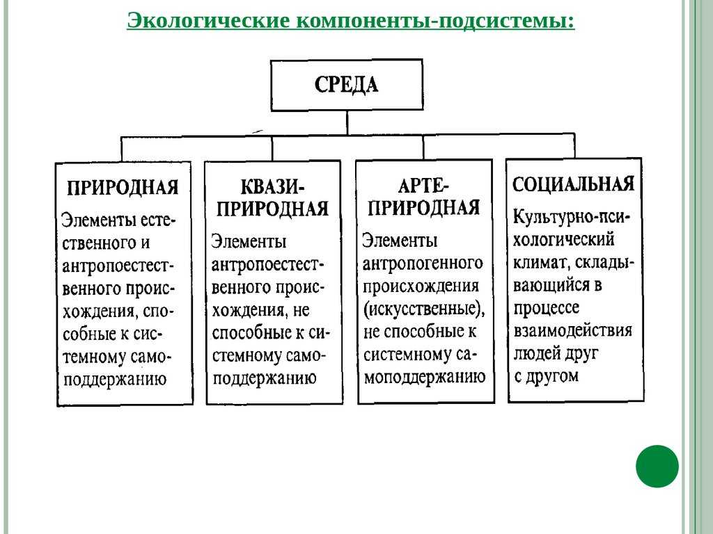 Социальное окружение примеры