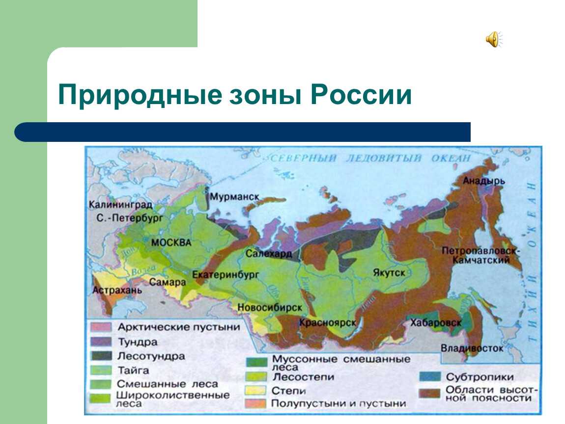 Тундра лесотундра тайга карта. Природные зоны зона лесов 4 класс. Природные зоны России тундра Тайга. Зона лесов на карте России 4 класс. Природные зоны Тайга и тундра.