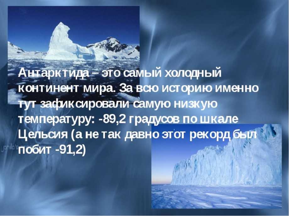 Проект антарктида 5 класс биология