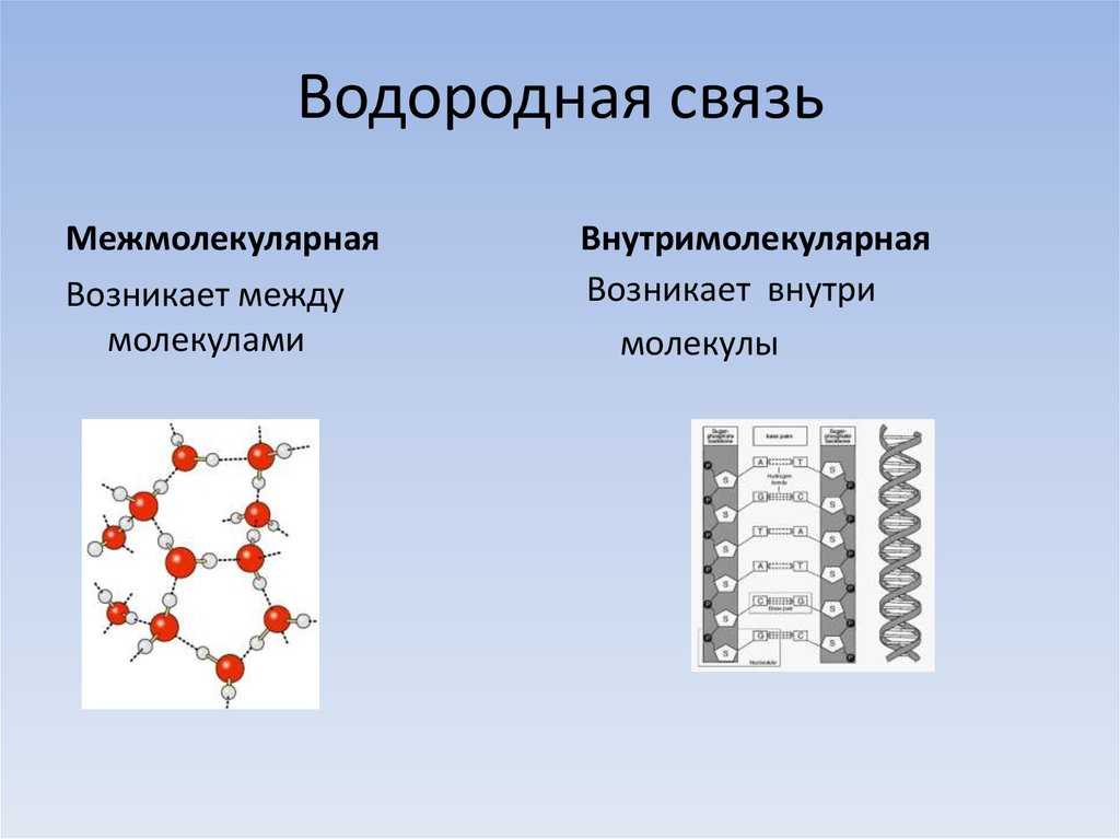 Образование межмолекулярных водородных связей. Водородная связь. Внутримолекулярная водородная связь. Межмолекулярные водородные связи. Межмолекулярная и внутримолекулярная водородная связь.