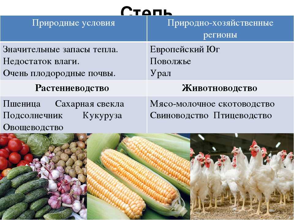 Презентация сельское хозяйство растениеводство 8 класс полярная звезда